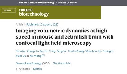 給大腦抓拍個工作照 新技術高速捕捉神經元活動與血流動態