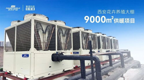 精品案例 派沃空氣能助力花卉養殖大棚9000㎡供暖項目，35臺超低溫熱泵護航冬日花開